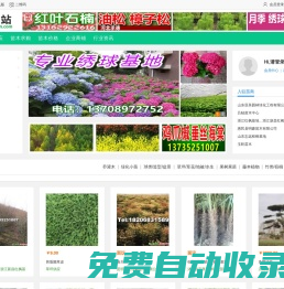 苗木站_苗木求購信息|苗木供應(yīng)信息|綠化苗木價格_第一苗木站_專業(yè)苗木網(wǎng)站