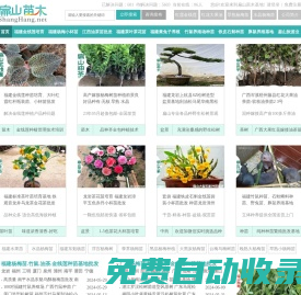 福建東魁楊梅苗批發 D竹鼠豚鼠養殖基地 金線蓮種苗干貨批發