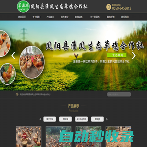 鳳陽縣淮鳳生態草雞農民專業合作社-安徽草雞出售|鳳陽草雞出售|草泥雞|淮鳳土特產品有限公司|土特產品