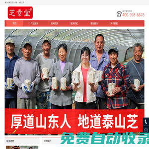泰山赤靈芝孢子粉_仿野生靈芝_源自芝素堂泰山靈芝基地