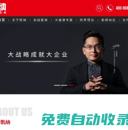 凱納咨詢集團-跨界戰略咨詢_品牌定位策劃公司_全案營銷策劃公司