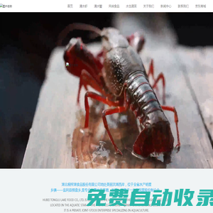 機關第二黨委