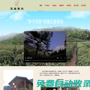 文縣玉皇茶業(yè)李子壩茶-官方網(wǎng)站