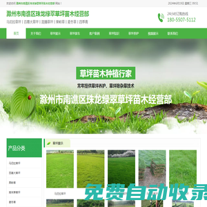 滁州馬尼拉草坪-百慕大草坪-混播草坪-果嶺草-滁州市南譙區珠龍綠翠草坪苗木經營部