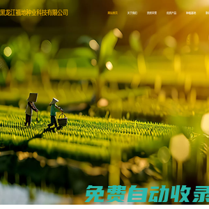綏化種子 - 黑龍江福地種業(yè)科技有限公司 - 綏化種業(yè) | 綏化水稻種子