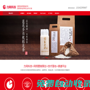 品牌營銷推廣|品牌形象維護|網絡優化推廣|網絡推廣公司|長沙網站建設-力網網絡科技（長沙）有限公司