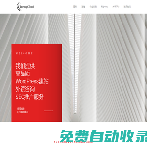 外貿建站 wordpress 獨立站 B2B外貿獨立站 跨境電商獨立站 廣州圖靈云科技 - TuringCloud
