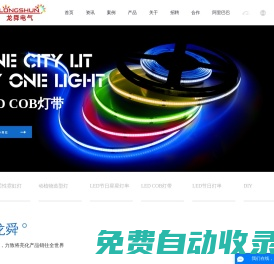 皮線燈_LED造型燈_LED圖案燈_LED裝飾燈廠家-中山市龍舜電氣科技有限公司