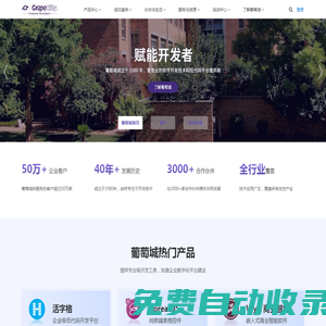 葡萄城官網 - 為開發者提供專業的開發工具、解決方案和服務，賦能開發者