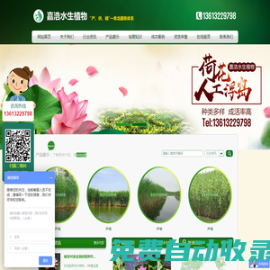 生態浮島_荷花種苗、蘆葦苗批發價格低_荷花種植方法-嘉浩水生_荷花苗,荷花種苗,荷花種植,蘆葦苗,生態浮島,粉黛亂子草,盆栽荷花,魯冰花