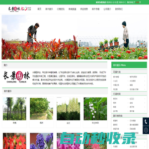 [長景園林] 苗木批發基地-綠化公司-提供苗木報價-品種名稱圖片查詢-三點水商貿