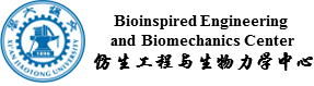 西安交通大學仿生工程與生物力學研究所