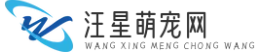汪星萌寵網-狗狗價格-狗狗零食-狗狗品種-狗狗訓練-狗狗用品