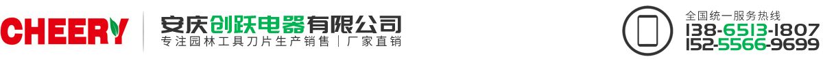 安慶創躍電器有限公司