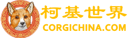 板塊 -  Powered by Discuz!