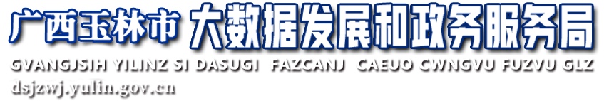 廣西玉林市大數據發展和政務服務局網站