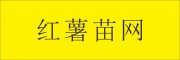 紅薯苗網(wǎng)