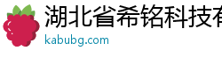 湖北省希銘科技有限公司-專業提供優質產品與服務
