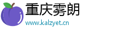 重慶霧朗科技有限公司