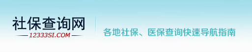 12333社保查詢-醫(yī)保社保卡個(gè)人賬戶網(wǎng)上查詢