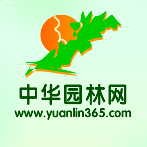 365園林網(wǎng)|苗木供應|苗木求購信息|綠化苗木價格|苗木價格-國內(nèi)大型的園林行業(yè)網(wǎng)站