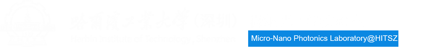 微納光子學實驗室