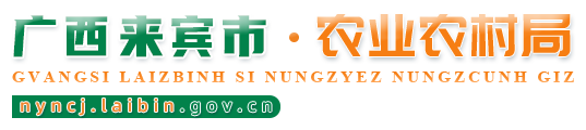 廣西來(lái)賓農(nóng)業(yè)農(nóng)村局網(wǎng)站