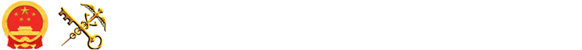 互聯(lián)網(wǎng)+海關(guān)