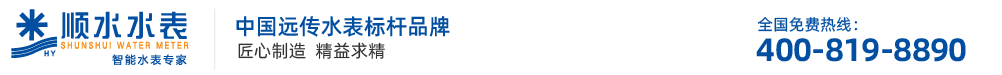 遠傳水表_智能水表_純凈水水表_北京順水水表廠家
