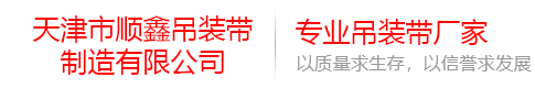 滌綸扁平吊裝帶_柔性環形吊裝帶_拉緊器-天津市順鑫吊裝帶制造有限公司
