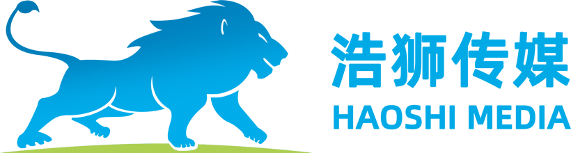 浩獅傳媒 | 專注于為企業提供品牌視頻傳播方案
