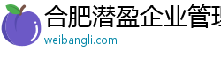 合肥潛盈企業管理咨詢有限公司