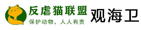 虐貓視頻 觀海衛