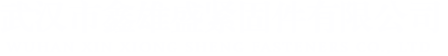 武漢市鑫雄盛緊固件有限公司