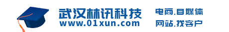 武漢林訊科技_教學(xué)醫(yī)療單警用裝備柜智慧警保云管理軟件系統(tǒng)
