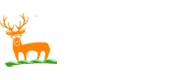 記錄有溫度的城市生活|鹽城新聞|鹽城論壇|鹽城公積金-知曉鹽城