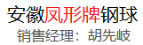 鳳形牌高鉻球 低鉻球 高鉻(段)鍛 低鉻(段)鍛 襯板-安徽鳳形胡先岐