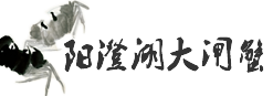 [陽澄湖大閘蟹專賣店商城]_專業提供陽澄湖大閘蟹禮券,禮盒銷售,價格優惠