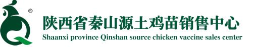 秦山源_土雞_土雞養殖_土雞蛋批發_土雞收購_土雞苗供應_西北地區優質土雞種苗供應商