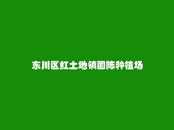 昆明同城網-善投信息網-昆明信息港-免費發布昆明本地分類信息