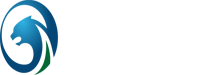 蘇州駕校_創元駕校_蘇州創元智慧駕校 - 蘇州創元駕校