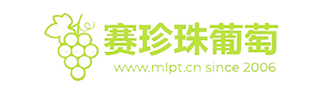 南匯8424西瓜網(wǎng)-南匯8424西瓜網(wǎng)丨南匯8424西瓜采摘價(jià)格多少錢(qián)一斤丨南匯8424西瓜禮盒