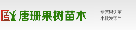 果樹苗多個(gè)品種_桃樹苗_梨樹苗_杏樹苗等_唐姍果樹種植專業(yè)合作社