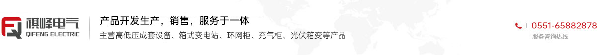 安徽祺峰電氣有限公司