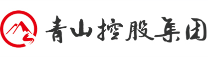 安徽青山控股集團(tuán)有限公司