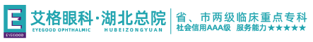武漢艾格眼科醫院_省、市兩級臨床重點專科單位_三級眼科專業醫院_商保/醫保定點醫院