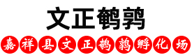 鵪鶉養(yǎng)殖場,鵪鶉苗-嘉祥縣文正鵪鶉苗養(yǎng)殖場