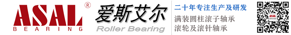 滿裝圓柱滾子軸承_無外圈軸承_滾輪軸承_滾針軸承_愛斯艾爾軸承廠家