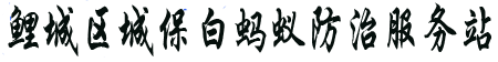 泉州白蟻防治站,泉州滅白蟻電話,泉州市白蟻防治中心,泉州白螞蟻防治所,消殺蟲公司電話|白蟻防治疫站,四害消殺公司(水頭除白蟻石獅.泉港.崇武.惠安小岞.峰尾.凈峰.黃塘.南安.安溪.磁灶.內坑.永寧.永和.安海.水頭白蟻防治電話)泉州白蟻防疫站