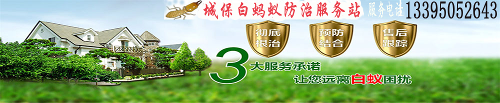 廈門白螞蟻防中心《廈門白蟻滅除公司》【廈門滅白蟻站】消殺白蟻電話號碼-廈門白蟻防治公司廈門市白蟻防治消殺單位|【廈門防治白蟻】廈門市白蟻防治機構|白螞蟻公司|廈門白蟻防治所|廈門滅白蟻除白蟻公司{鼓浪嶼區、思明區、開元區、杏林區、湖里區、集美區、同安區滅除白蟻上門服務}廈門白螞蟻防中心《廈門白蟻滅除公司》【廈門滅白蟻站】消殺白蟻電話號碼-廈門白蟻防治公司廈門市白蟻防治消殺單位|【廈門防治白蟻】廈門市白蟻防治機構|白螞蟻公司|廈門白蟻防治所|廈門滅白蟻除白蟻公司{鼓浪嶼區、思明區、開元區、杏林區、湖里區、集美區、同安區滅除白蟻上門服務}